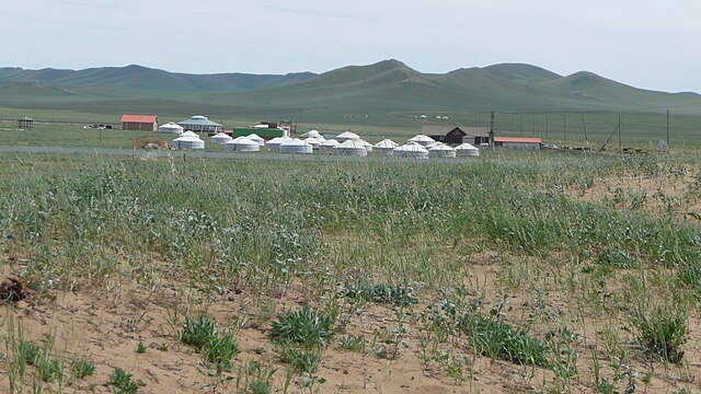 Khustain National Park, Mongolia